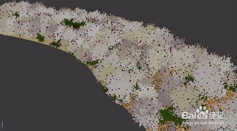 Forest Pack Pro教程