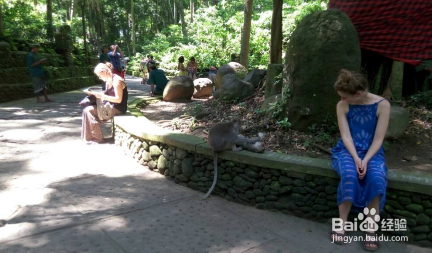 巴厘岛旅游攻略2020