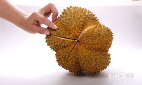 怎么挑选榴莲？