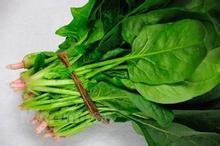 高血压经常吃这些蔬菜可帮助降血压。