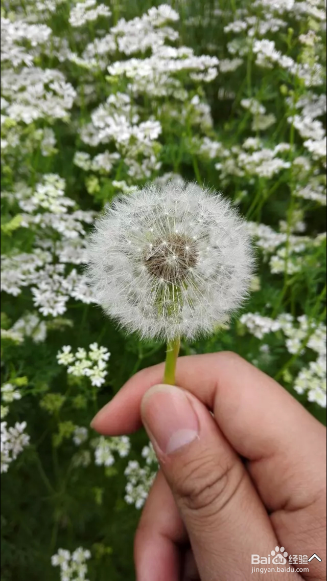 如何拍出更有意境和美感的照片