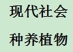 种些植物丰富生活