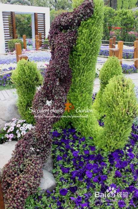 上海植物园（上）