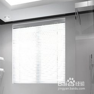 厕所蜘蛛怎么处理