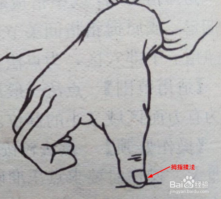 手部按摩疗法的基本手法图解