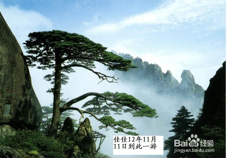 如何用画图工具在图片中添加文字