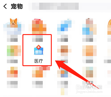 狗狗拉血便怎么办