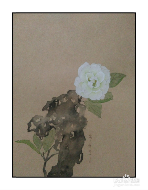 如何用卡纸画白山茶