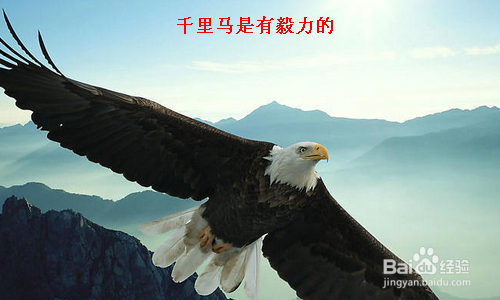 薪水不涨职务不升？如何判断自己是不是千里马？