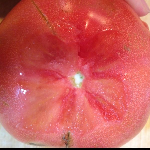 西红柿鸡蛋热汤面