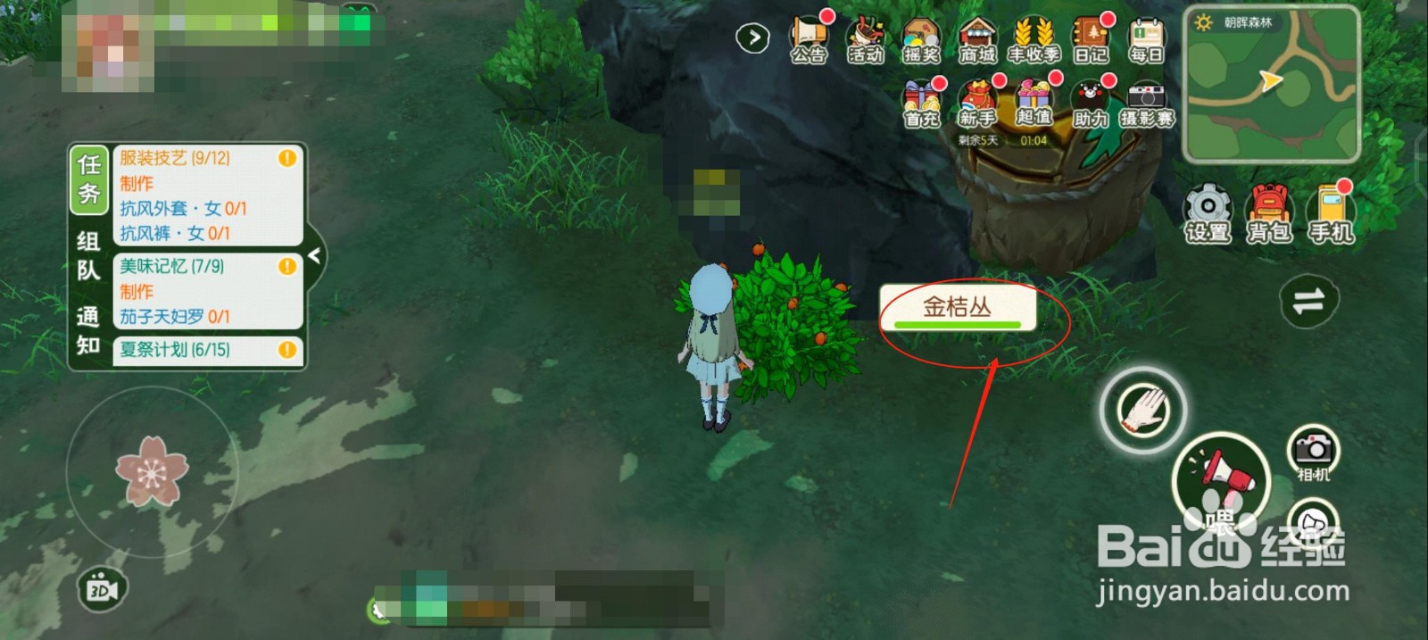小森生活怎么采集金桔