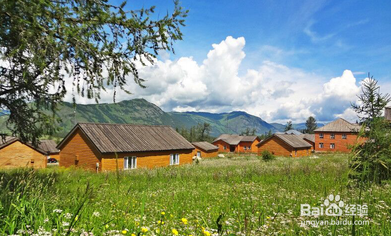 喀纳斯旅游攻略