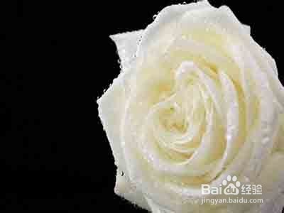 怎么给恋人送花？