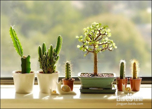 冬季如何防静电