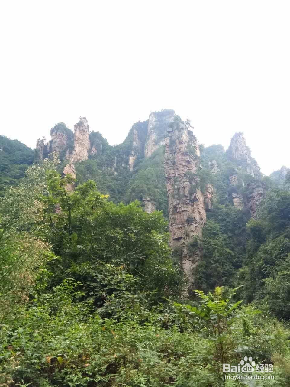 田云青老师旅游景观册编辑方法