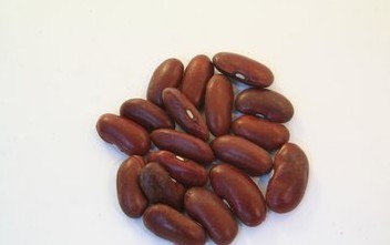 大豆的分类方法