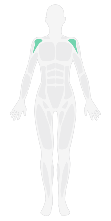 肩前侧拉伸_哑铃全身循环