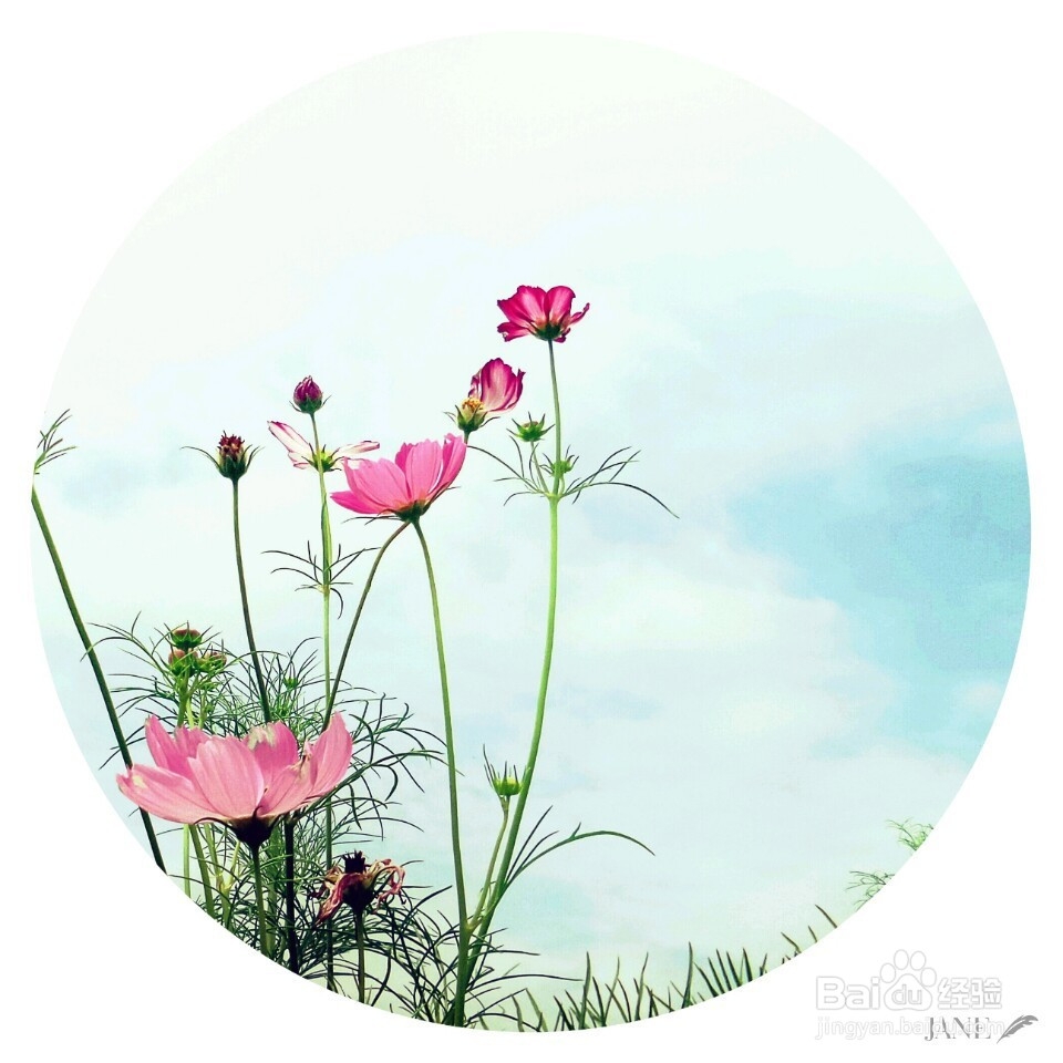 如何在孤独中优秀自己!