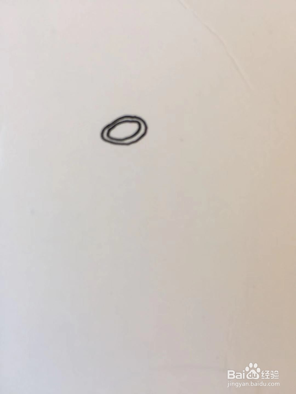 插画教程之莲花