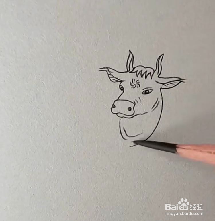 勤劳朴实的牛怎么画