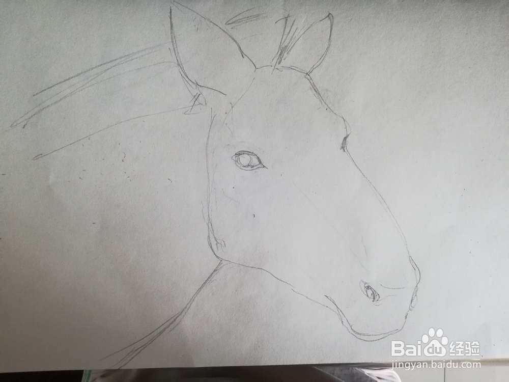 怎么画斑马的线描创意画