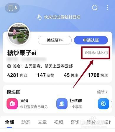 百度ip地址怎么查看