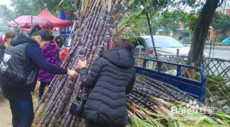 如何选购甘蔗？