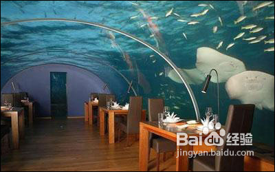 分享马尔代夫旅游安娜塔拉岛景点住宿攻略