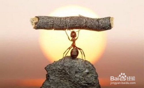 越努力越失败怎么办？