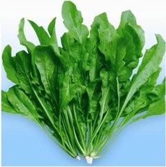 准妈妈如何巧配蔬菜