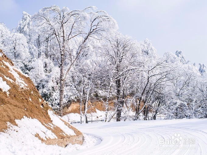 四川赏雪圣地攻略
