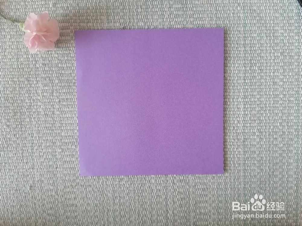 郁金香、花瓶手工