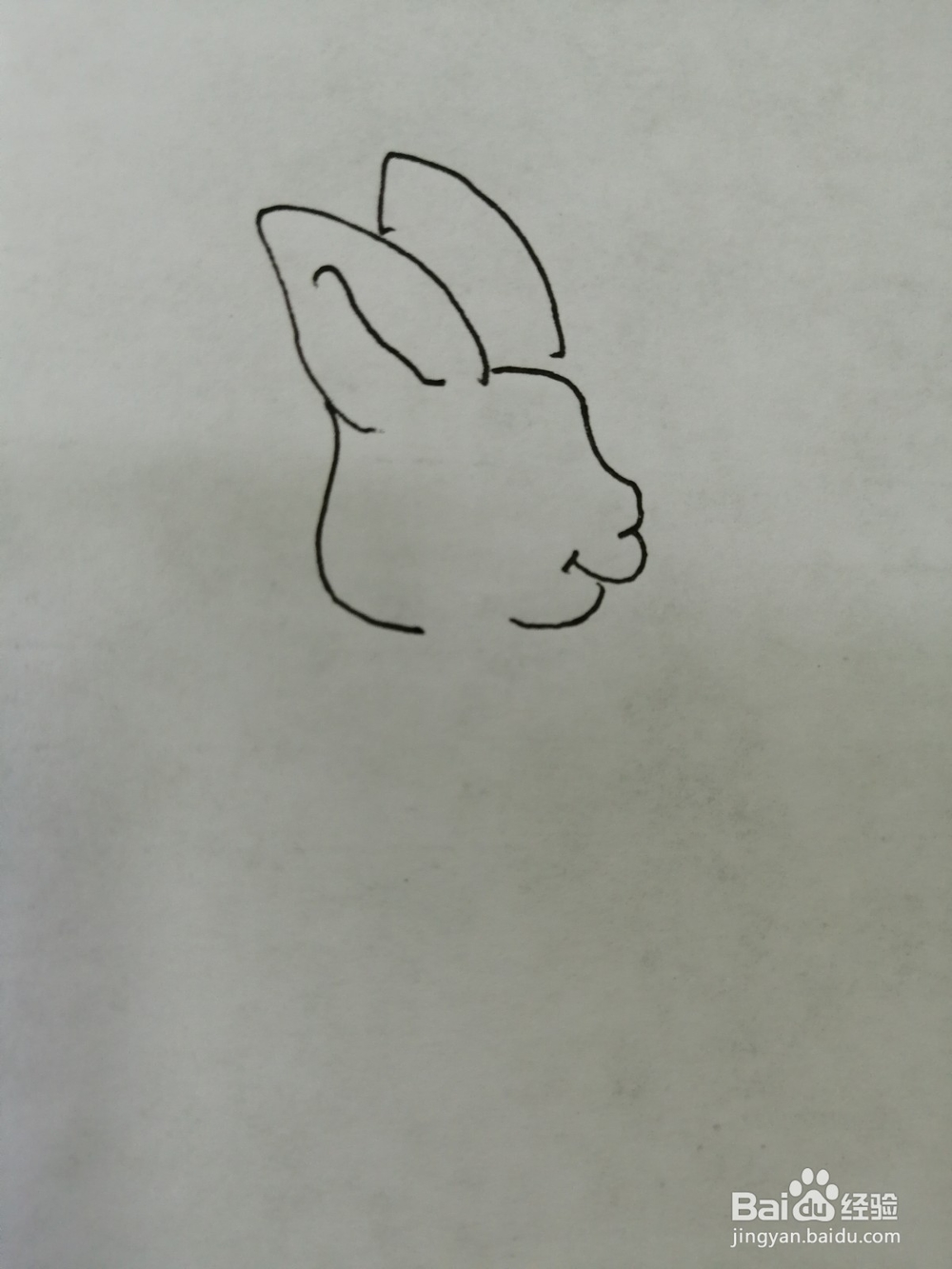 可爱的小兔子怎么画