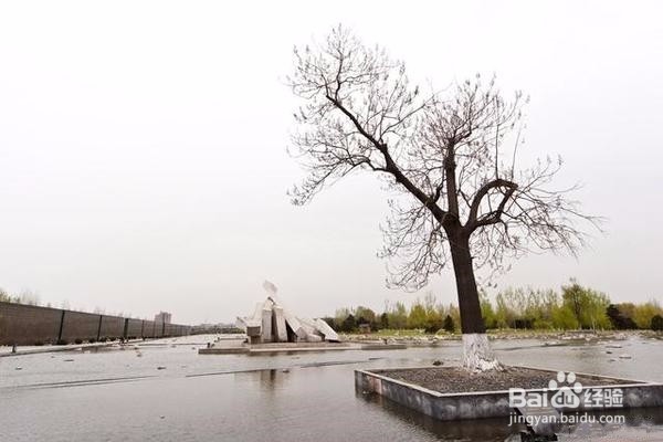 在1976地震中涅盘 从废墟中新生唐山
