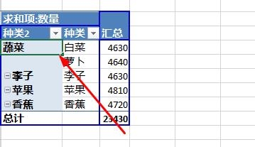 Excel2013：[38]数据透视表字段分组