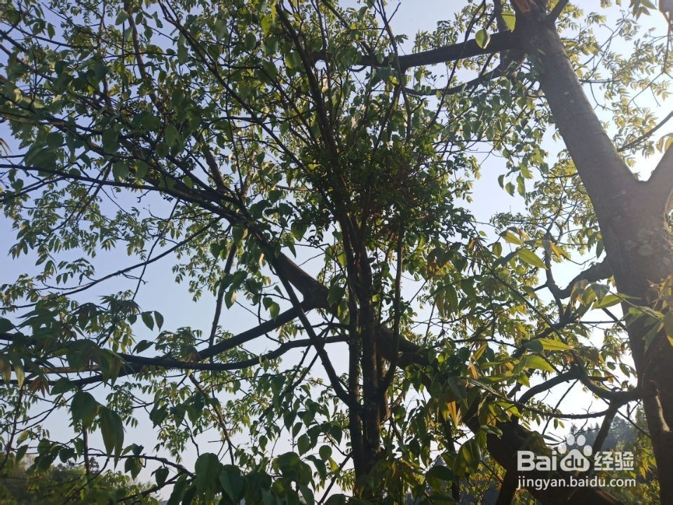 如何形成好的公共生活