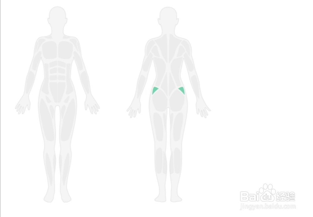 臀部塑形简便步骤