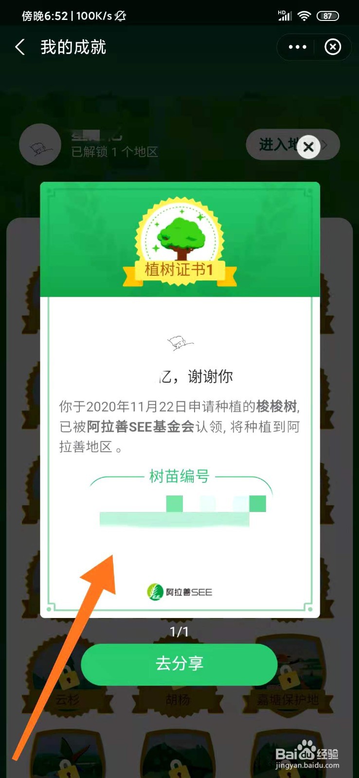 蚂蚁森林植树证书图片