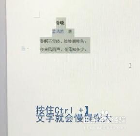 Word如何一键调节字体大小