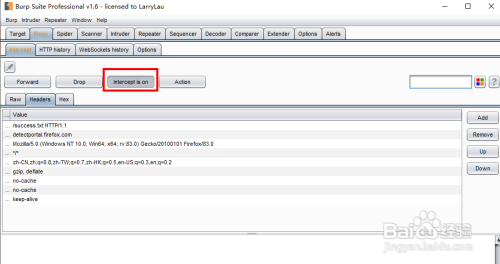 使用Burp Suite抓https数据包