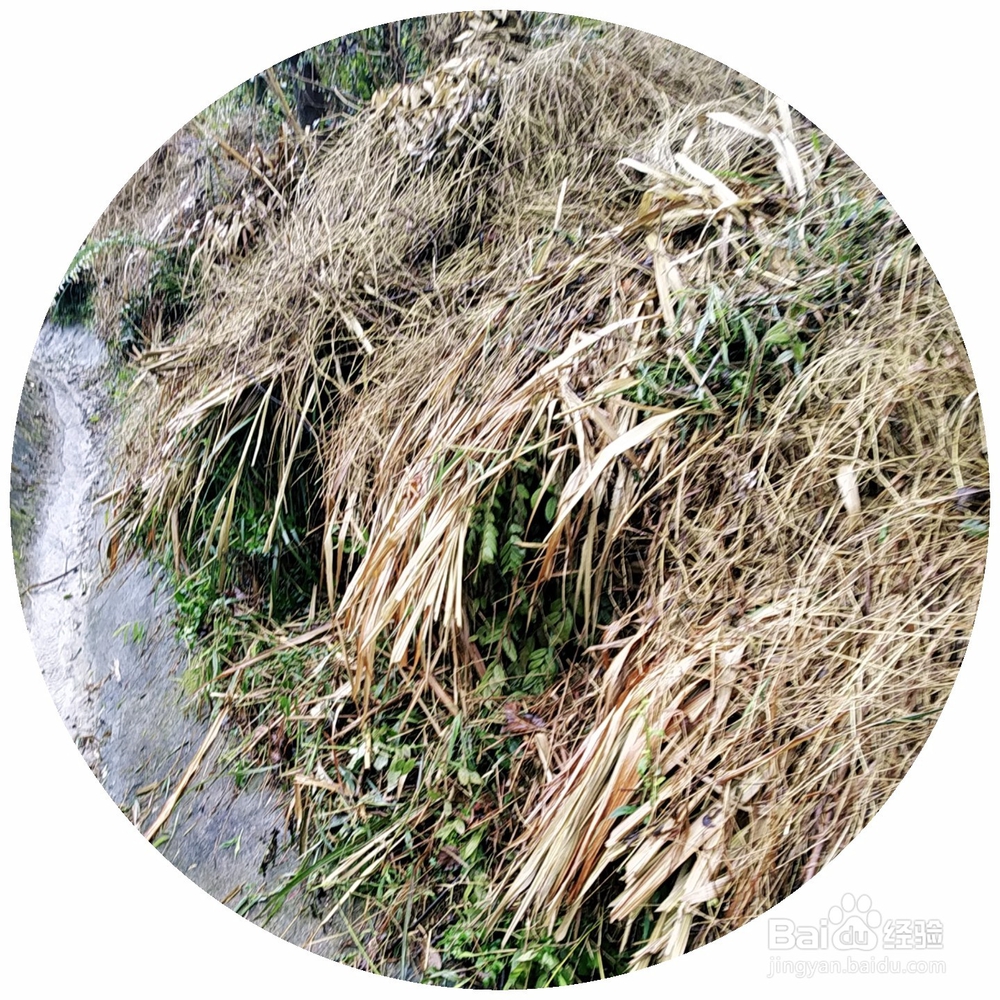 铁路高边坡雨天作业的一些要求