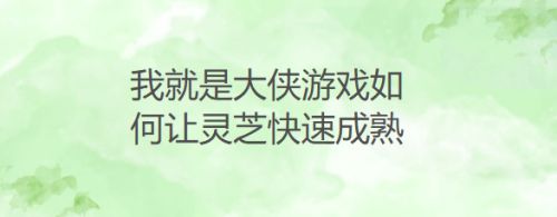我就是大侠游戏如何让灵芝快速成熟