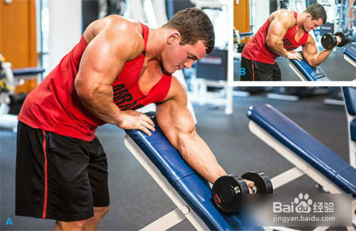 如何高效锻炼手臂