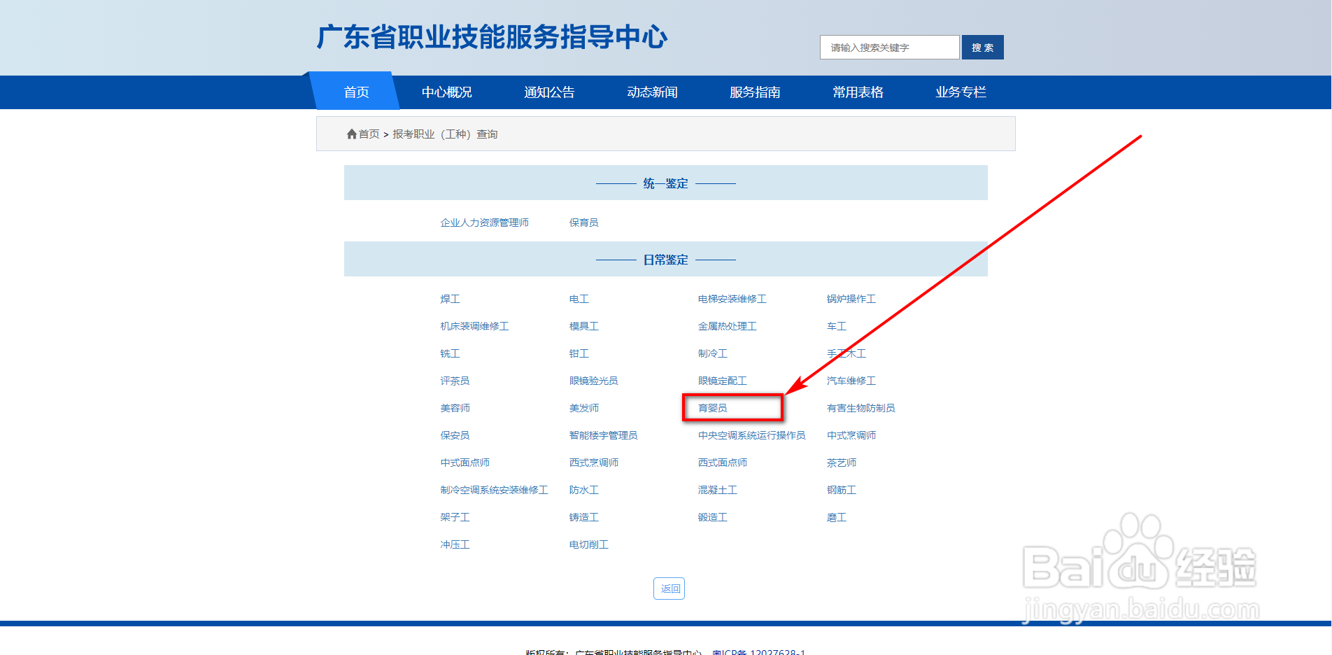 高级育婴师证怎么考