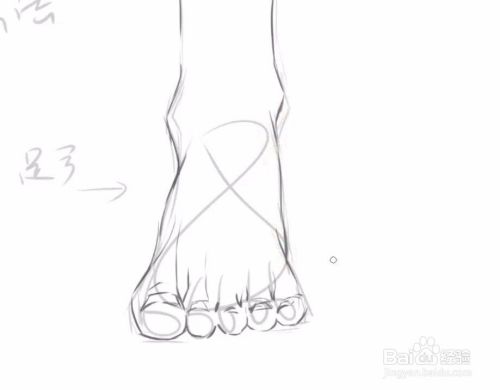 脚部画法 脚部正面线稿paint教程 百度经验 脚部画法 脚部正面线稿paint教程 百度经验