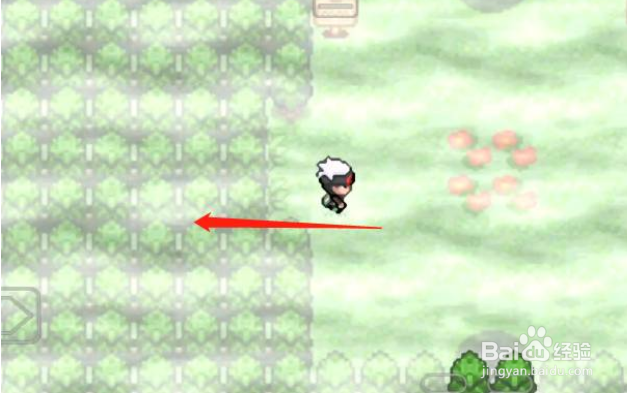 究极绿宝石5迷途之森怎么走