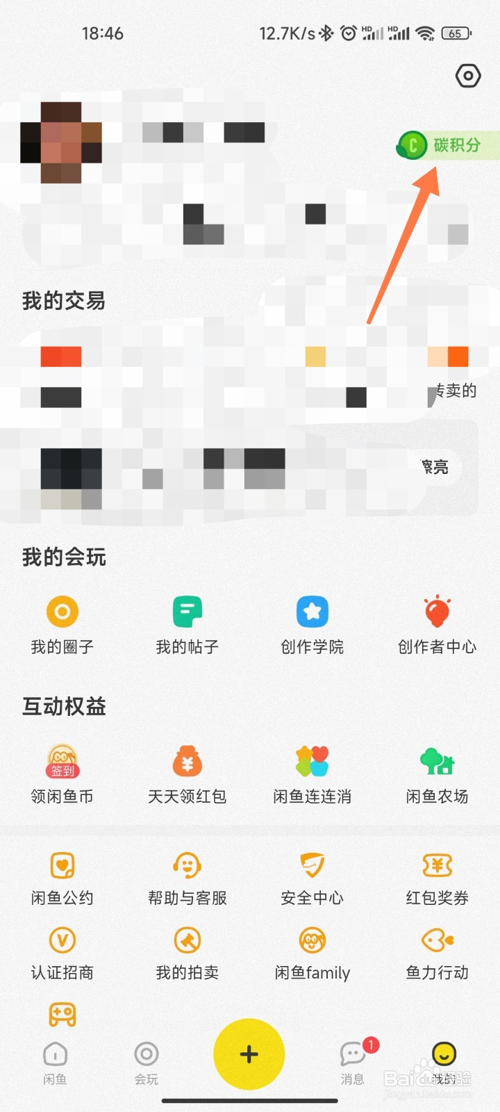 闲鱼的碳积分如何看