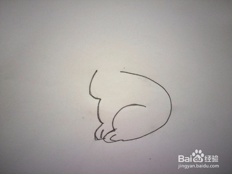 简笔画—小白兔的画法
