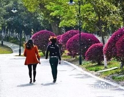 春天外出踏青要注意哪些问题