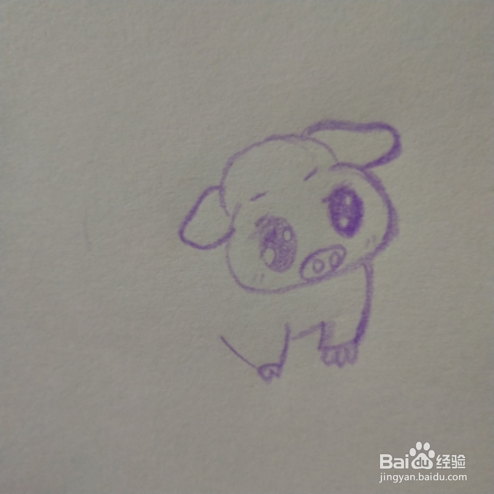 2019年简笔画紫色猪怎么画